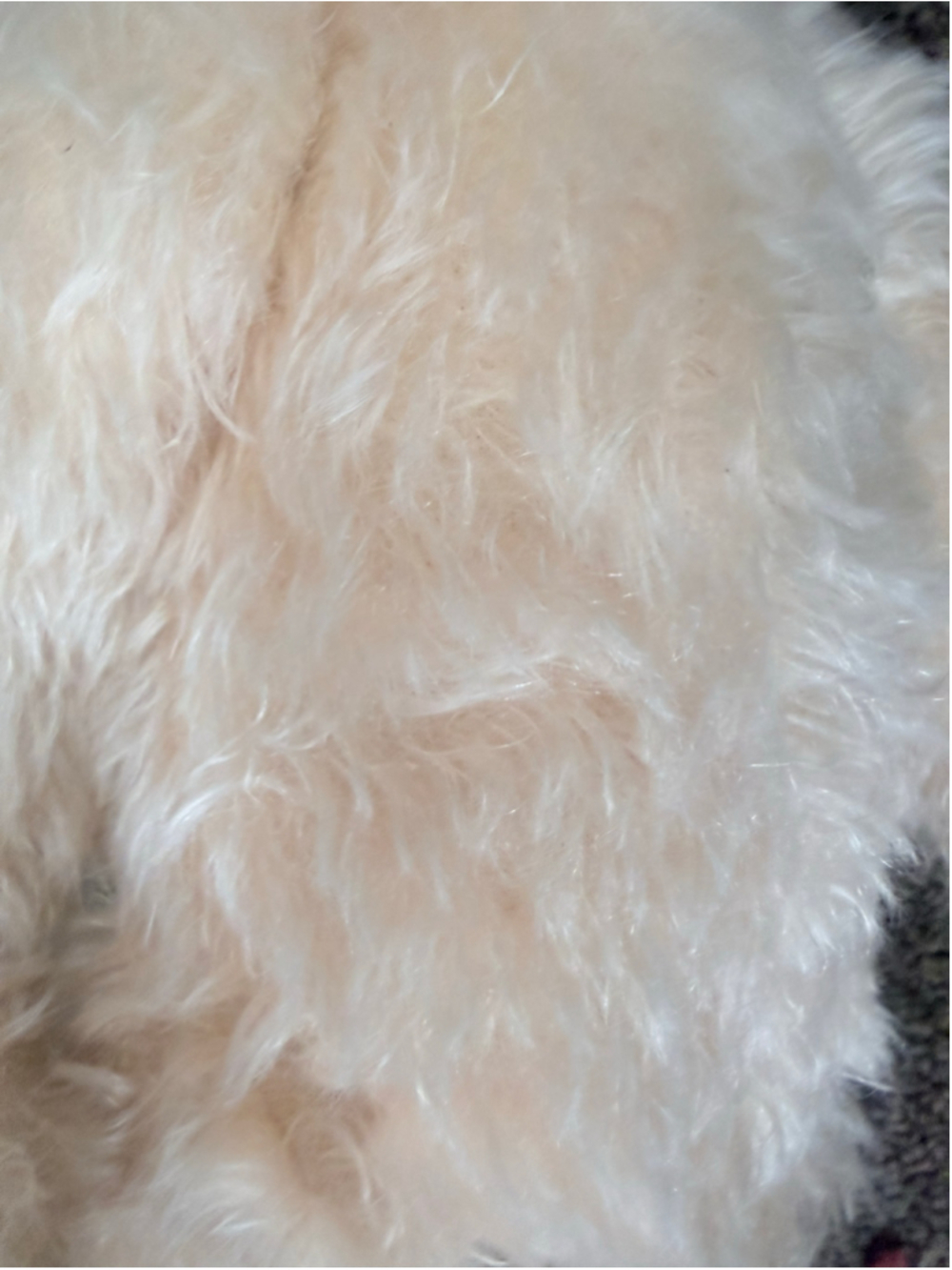 Large Angel Teddy Bear Mohair 18”+ Stuffed Animal - Picture 9 of 14